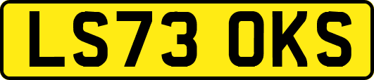 LS73OKS