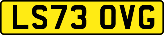 LS73OVG