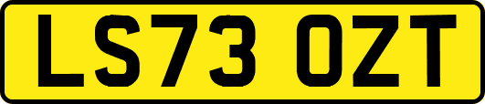 LS73OZT