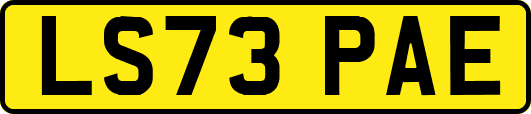 LS73PAE