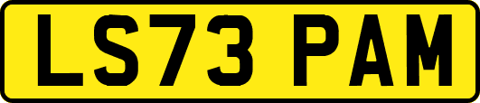 LS73PAM