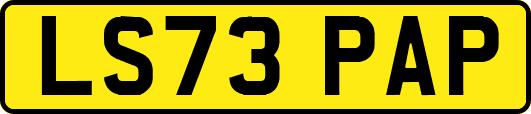 LS73PAP