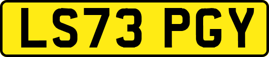 LS73PGY