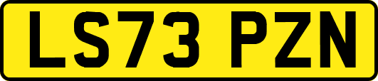 LS73PZN