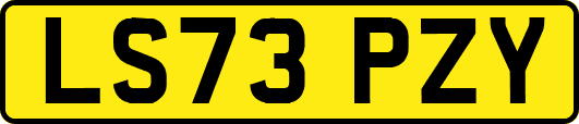 LS73PZY