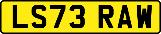 LS73RAW