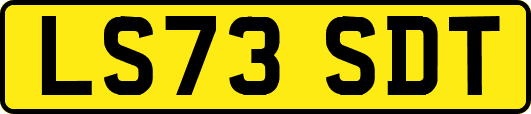 LS73SDT