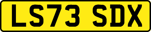 LS73SDX