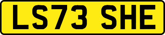 LS73SHE