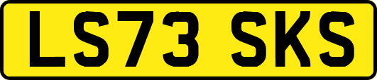 LS73SKS