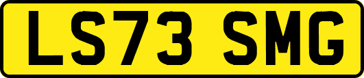 LS73SMG