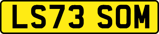 LS73SOM