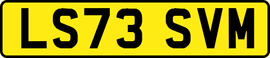 LS73SVM