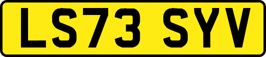LS73SYV