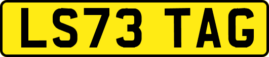 LS73TAG