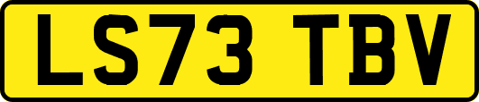 LS73TBV
