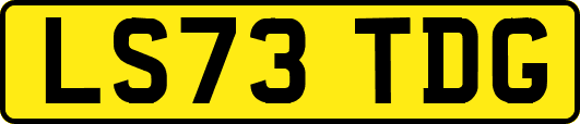 LS73TDG