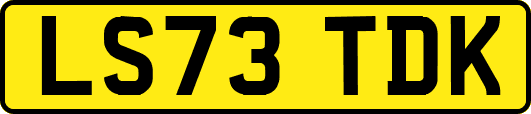 LS73TDK
