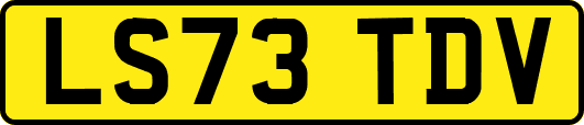 LS73TDV