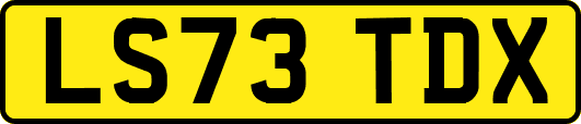 LS73TDX
