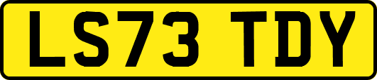 LS73TDY