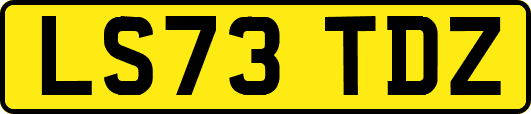 LS73TDZ