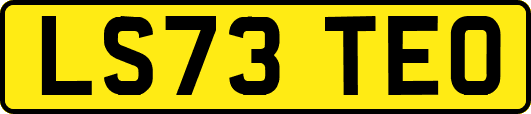 LS73TEO