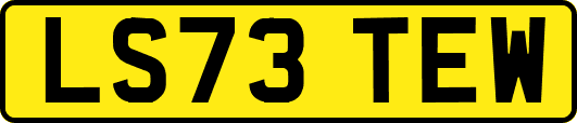 LS73TEW