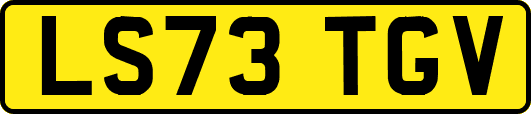 LS73TGV