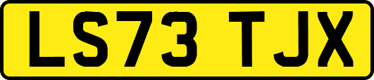 LS73TJX