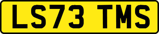LS73TMS