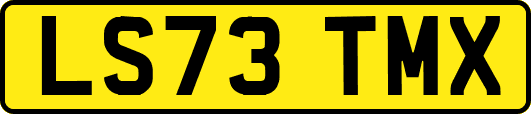 LS73TMX