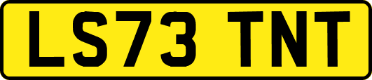 LS73TNT