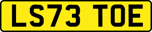 LS73TOE