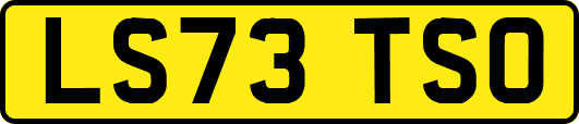 LS73TSO