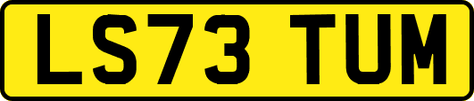 LS73TUM