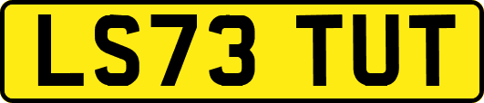LS73TUT