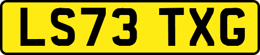 LS73TXG
