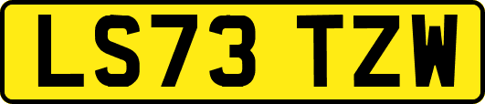 LS73TZW
