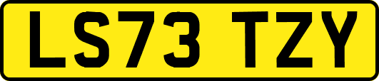 LS73TZY
