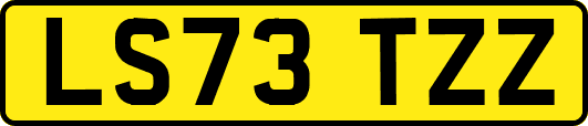 LS73TZZ