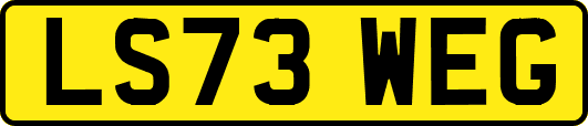LS73WEG