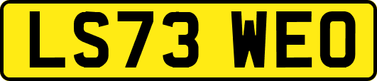 LS73WEO