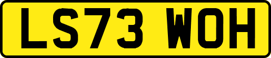 LS73WOH