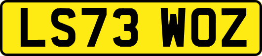 LS73WOZ