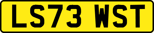 LS73WST