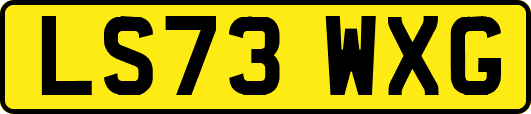 LS73WXG