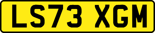 LS73XGM