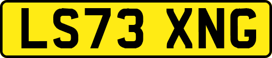 LS73XNG