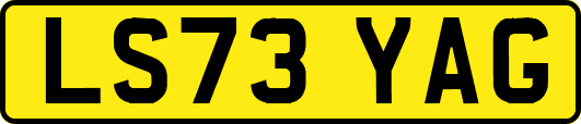 LS73YAG